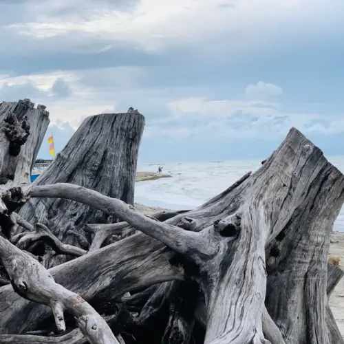 Casuarina Beach tourist place in jaffna (6)