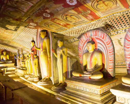 Dambulla gold and temple tourist place 4