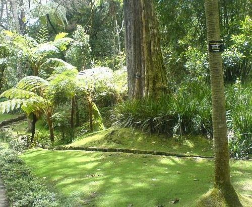 Hakgala Botanical Garden tourist must visit place