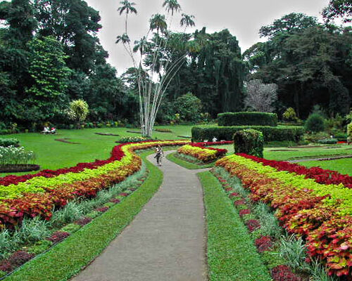 Hakgala Botanical Garden tourist must visit place 6