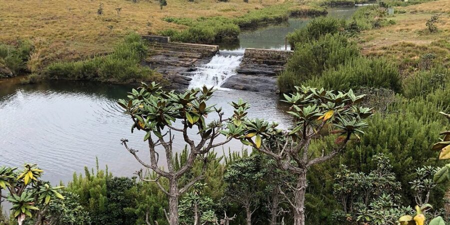 Horton Plains National Park: Exploring Sri Lanka's Scenic Highland Wilderness 1