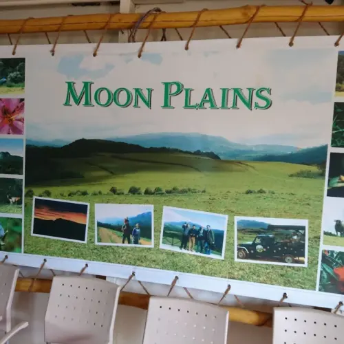 Moon plain in nuwaraeliya tourist places (5)