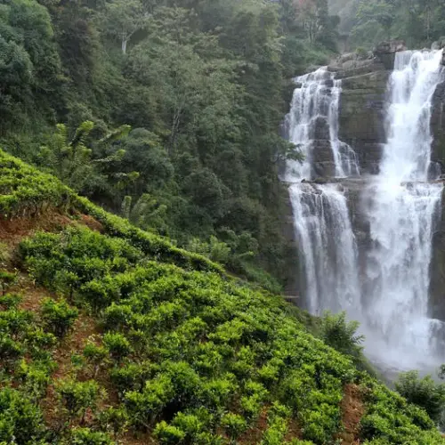 Ramboda Falls most tourist visited place in nuwaraeliya (1)