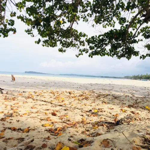 Uppuveli beach tourist place in trinco (5)