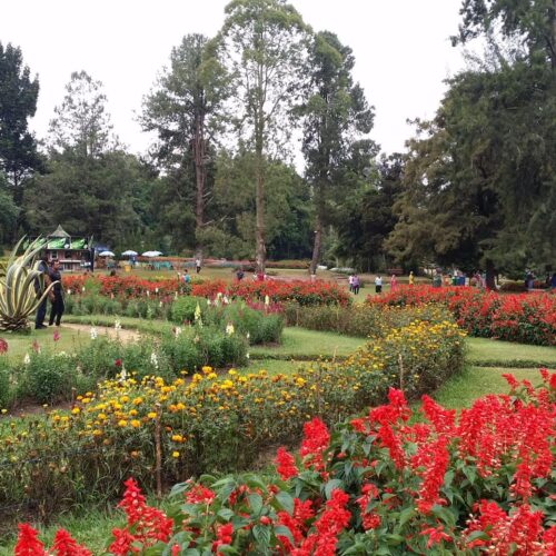 Victoria Park Nuwara Eliya Top Tourist Attraction 2