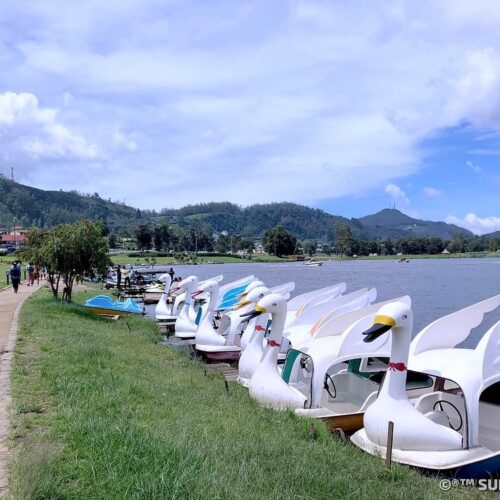 gregory-lake-nuwara-eliya tourist place 2