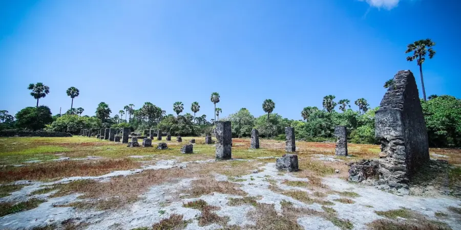 Neduntheevu (Delft Island) - Explore Sri Lanka’s Remote Island of Rich History & Scenic Beauty 1