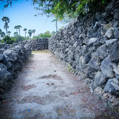 neduntheevu delft island tourist place