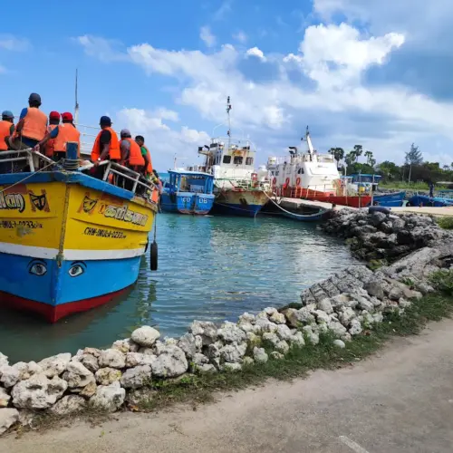 neduntheevu delft island tourist place 6