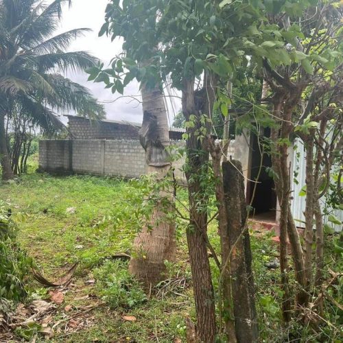 காணி விற்பனைக்கு – Land for sale