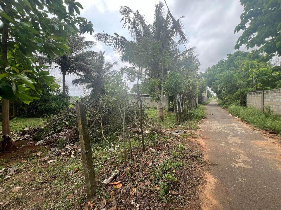 காணி விற்பனைக்கு – Land for sale