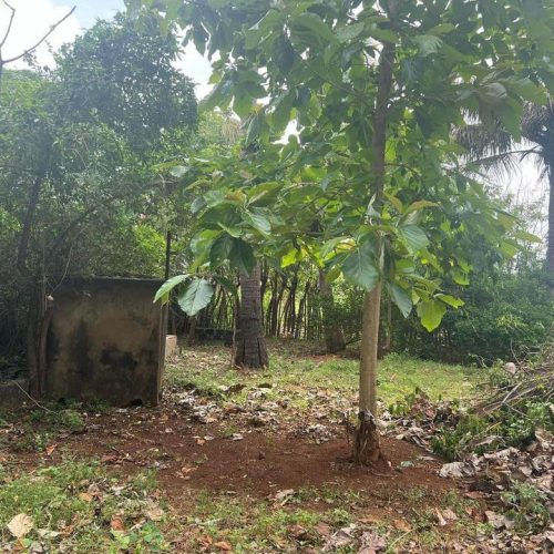 காணி விற்பனைக்கு – Land for sale