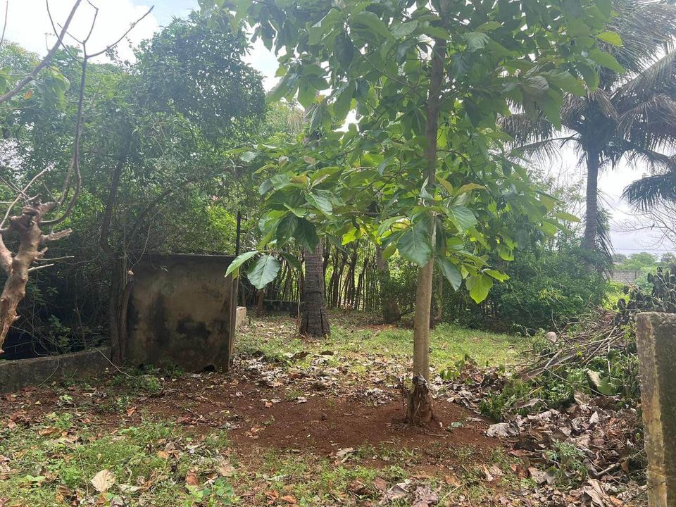 காணி விற்பனைக்கு – Land for sale