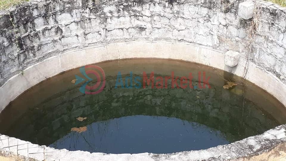 5 ஏக்கர் காணி விற்பனைக்கு – Land for Sale