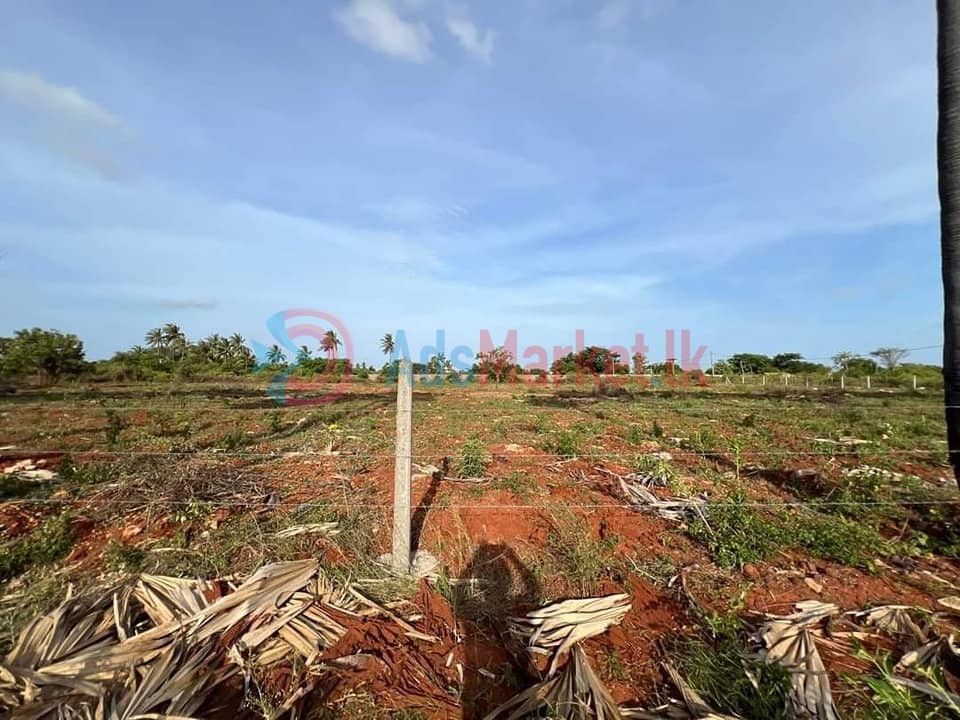 30 பரப்பு காணி – Land for Sale