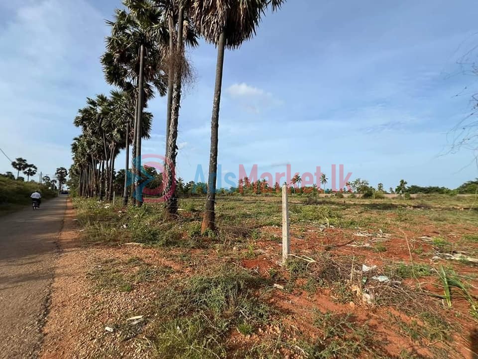30 பரப்பு காணி – Land for Sale
