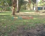 வீடு மற்றும் வயல் காணி விற்பனைக்கு – House and field land for sale