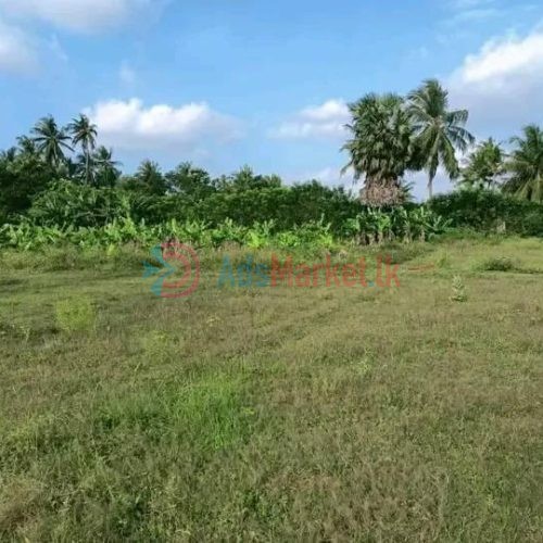 Land for Sale – காணி விற்பனைக்கு