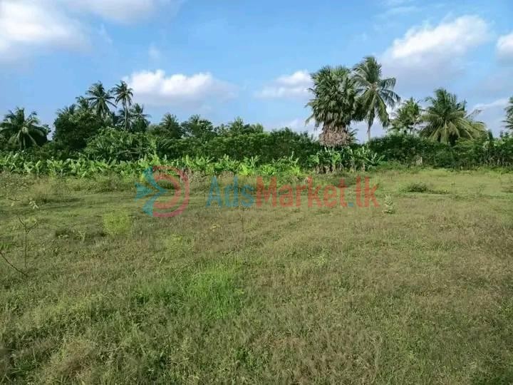 Land for Sale – காணி விற்பனைக்கு