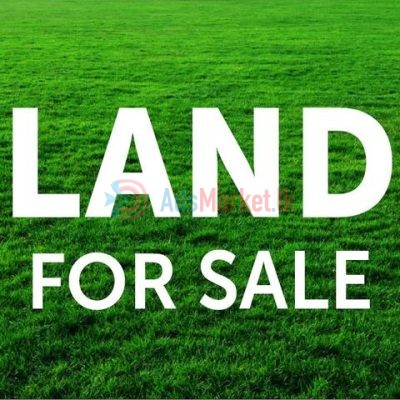 land-for-sale