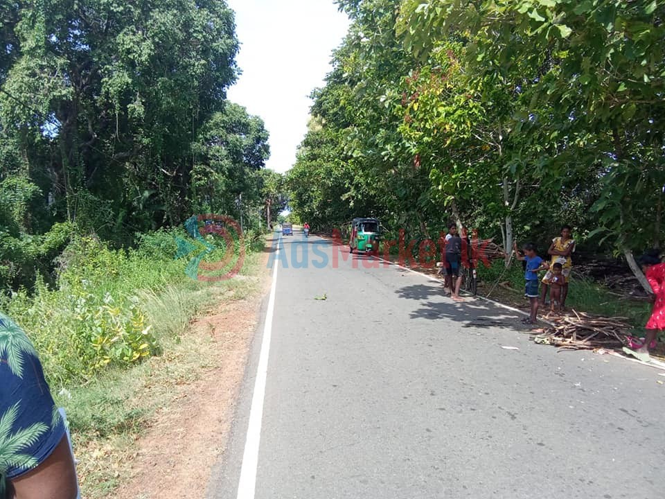 கிளி உருத்திரபுரம் வீதியில் 4 பரப்பு காணி விற்பனைக்கு – Land for Sale