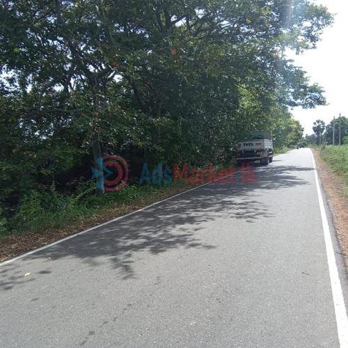 கிளி உருத்திரபுரம் வீதியில் 4 பரப்பு காணி விற்பனைக்கு – Land for Sale