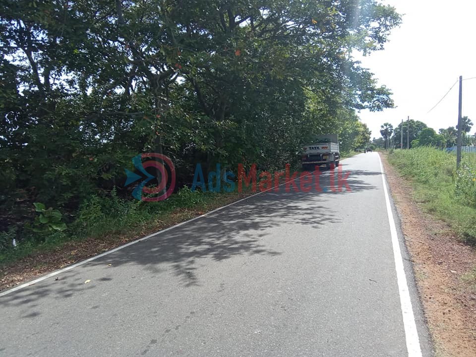 கிளி உருத்திரபுரம் வீதியில் 4 பரப்பு காணி விற்பனைக்கு – Land for Sale