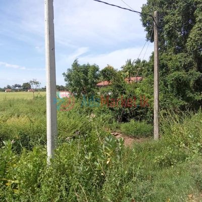 Land-for-sale-kilinochchi-4