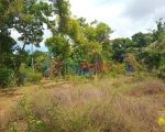 அரியாலையில் காணி விற்பனைக்கு – Land for Sale in Ariyalai