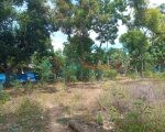 அரியாலையில் காணி விற்பனைக்கு – Land for Sale in Ariyalai