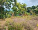 அரியாலையில் காணி விற்பனைக்கு – Land for Sale in Ariyalai