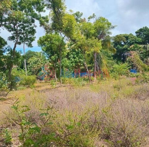 அரியாலையில் காணி விற்பனைக்கு – Land for Sale in Ariyalai