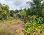 அரியாலையில் காணி விற்பனைக்கு – Land for Sale in Ariyalai