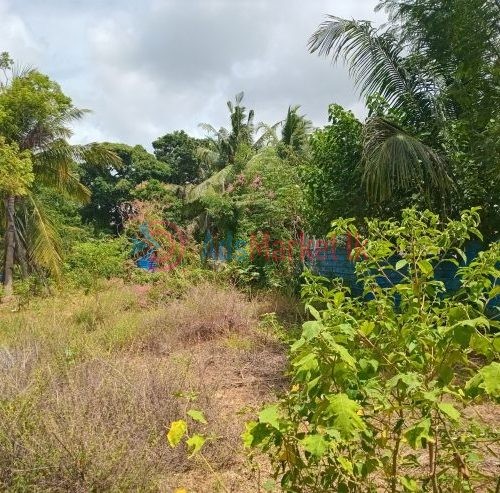 அரியாலையில் காணி விற்பனைக்கு – Land for Sale in Ariyalai