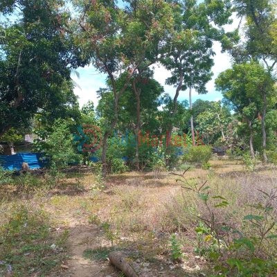 Land-sale-in-Ariyalai