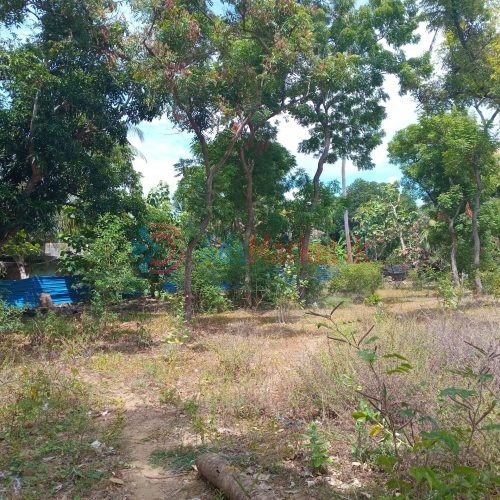 அரியாலையில் காணி விற்பனைக்கு – Land for Sale in Ariyalai