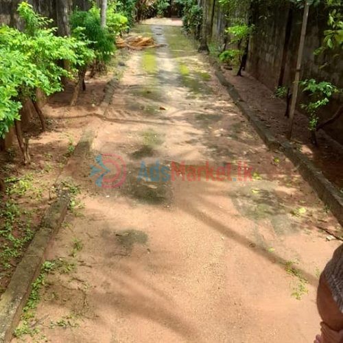 கோண்டாவிலில் வீடு காணி விற்பனைக்கு – House and land for sale in Kondavil