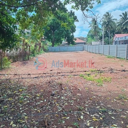 சுன்னாகத்தில் காணி விற்பனைக்கு – Land for Sale in Chunnakam