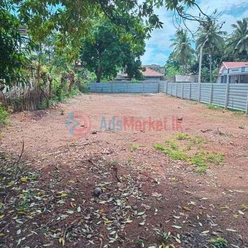 சுன்னாகத்தில் காணி விற்பனைக்கு – Land for Sale in Chunnakam