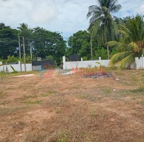 நுணாவிலில் காணி விற்பனைக்கு – Land for Sale in Nunavil