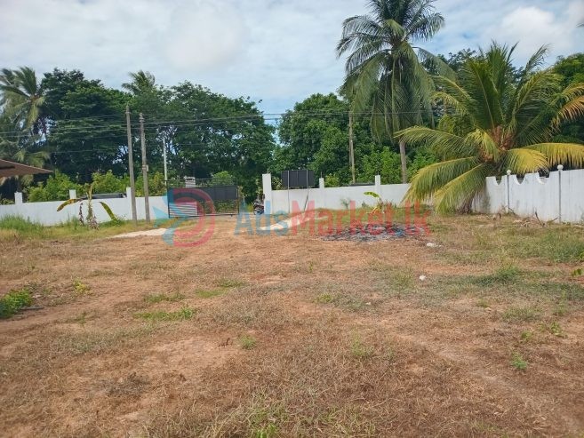 நுணாவிலில் காணி விற்பனைக்கு – Land for Sale in Nunavil