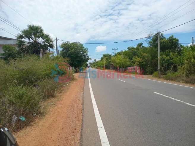 நுணாவிலில் காணி விற்பனைக்கு – Land for Sale in Nunavil