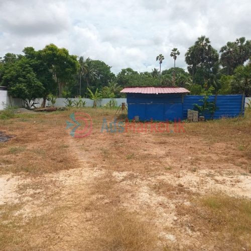 நுணாவிலில் காணி விற்பனைக்கு – Land for Sale in Nunavil