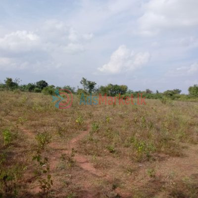 Land-for-sale-in-vavuuniya