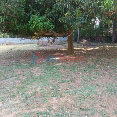 Land for Sale in Kokuvil