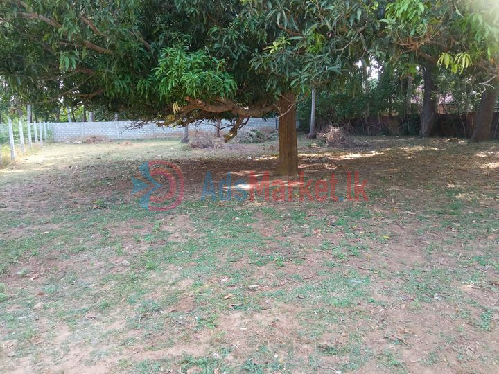 Land for Sale in Kokuvil