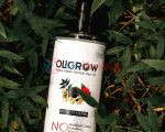 Oligrow Homemade Herbal Hair Oil