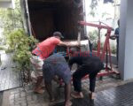 Safe Moving Services in Kollupitiya