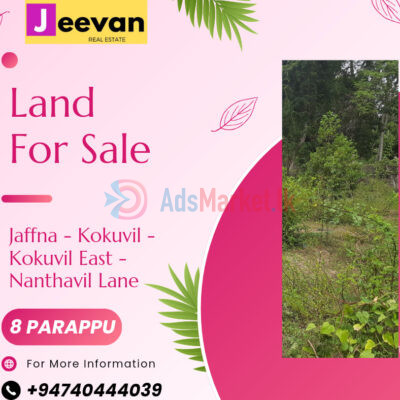 Buy-Land-in-Kokkuvil