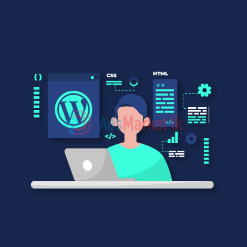 WordPress developer